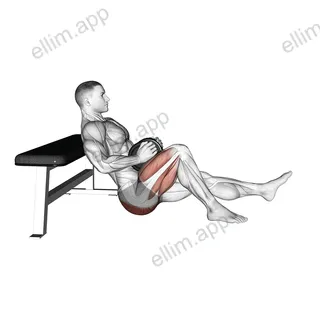 Dumbbell Single Leg Hip Thrust exercise targeting Hips and Gluteus Maximus