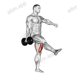 Dumbbell Single Leg Squat exercise targeting Hips and Gluteus Maximus