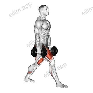 Dumbbell Split Squat exercise targeting Thighs and Gluteus Maximus