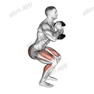 Dumbbell Squat Hold Calf Raise exercise targeting Calves and Hips