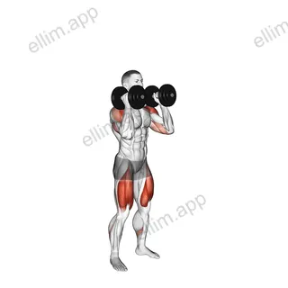 Dumbbell Squat to Overhead Press exercise targeting Thighs