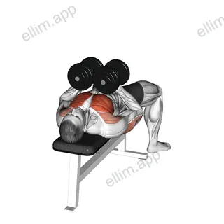 Dumbbell Squeeze Bench Press exercise targeting Chest and Pectoralis Major Clavicular Head