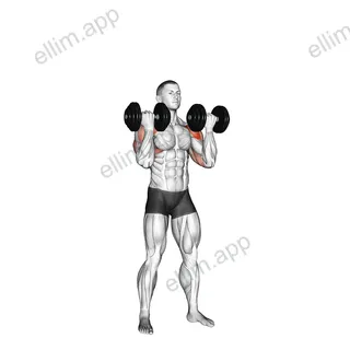 Dumbbell Standing Alternate Arnold Press exercise targeting Shoulders