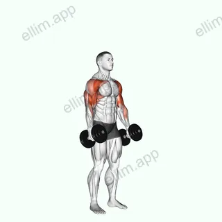Dumbbell Standing Alternate Hammer Curl and Press exercise targeting Biceps Brachii and Brachialis