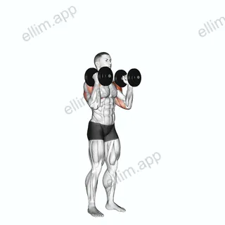 Dumbbell Standing Alternate Overhead Press exercise targeting Shoulders and Deltoid Anterior