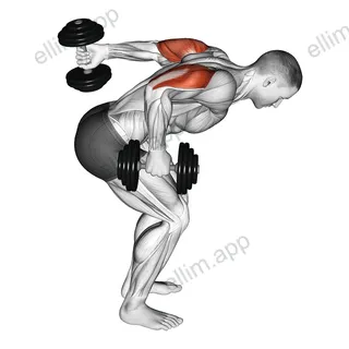 Dumbbell Standing Alternating Tricep Kickback exercise targeting Upper Arms