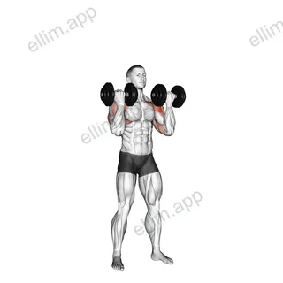 Dumbbell Standing Arnold Press exercise targeting Shoulders and Deltoid Anterior