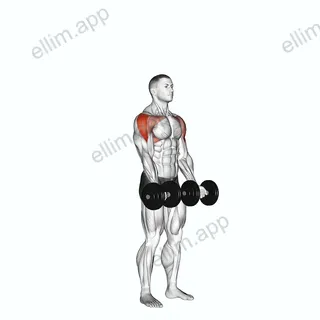 Dumbbell Standing Around World exercise targeting Shoulders and Deltoid Lateral