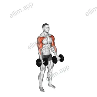 Dumbbell Standing Biceps Curl to Shoulder Press exercise targeting Shoulders and Upper Arms