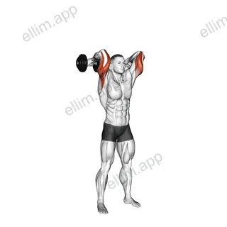 Dumbbell Standing French Press exercise targeting Upper Arms