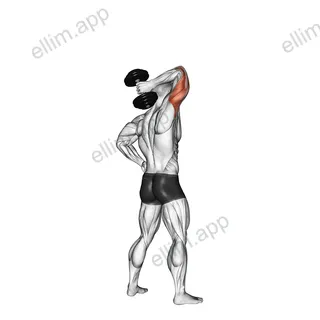 Dumbbell Standing One Arm Extension exercise targeting Upper Arms and Triceps Brachii