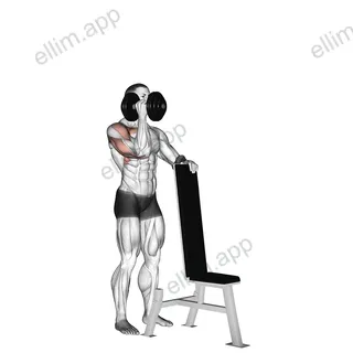 Dumbbell Standing One Arm Palm In Press exercise targeting Shoulders and Deltoid Anterior
