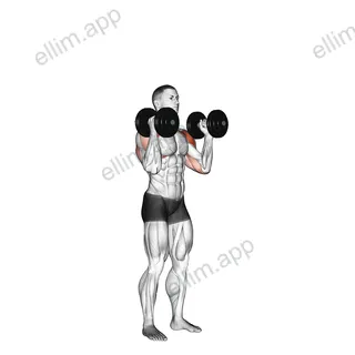 Dumbbell Standing Palms In Press exercise targeting Shoulders and Deltoid Anterior