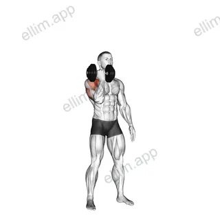 Dumbbell Standing Single Arm Arnold Press exercise targeting Shoulders