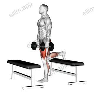Dumbbell Step up Lunge exercise targeting Thighs