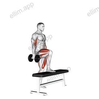 Dumbbell Step Up Single Leg Balance with Bicep Curl exercise targeting Upper Arms