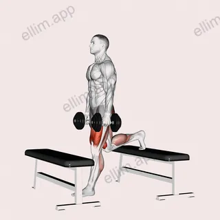 Dumbbell Step up Split Squat exercise targeting Thighs