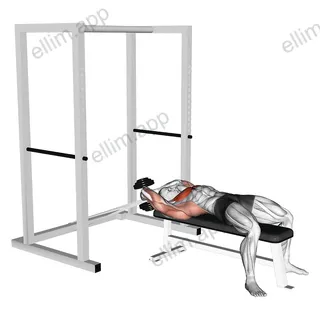 Dumbbell Straight Arm Pullover (with hanging band technique) exercise targeting Chest and Pectoralis Major Sternal Head