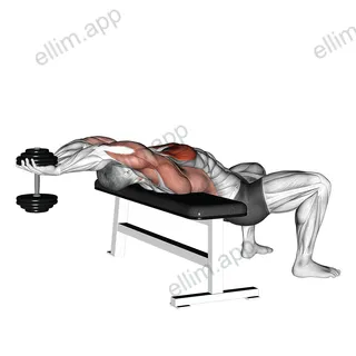 Dumbbell Straight Arm Pullover exercise targeting Chest and Pectoralis Major Sternal Head