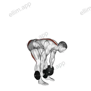 Dumbbell Straight Leg Deadlift exercise targeting Waist and Erector Spinae