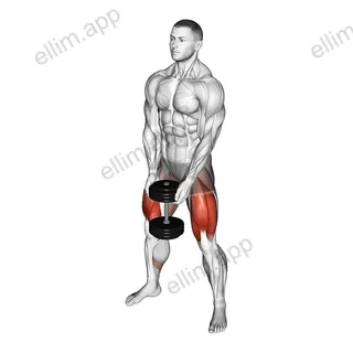 Dumbbell Sumo Squat exercise targeting Hips and Thighs