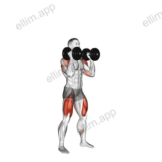 Dumbbell Thruster exercise targeting Deltoid Anterior and Gluteus Maximus