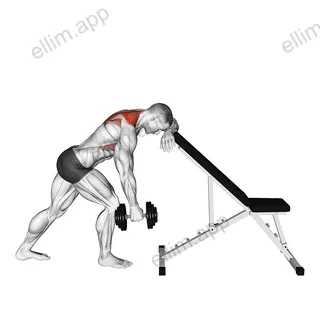 Dumbbell Unilateral Scapula Raise exercise targeting Back and Trapezius Lower Fibers