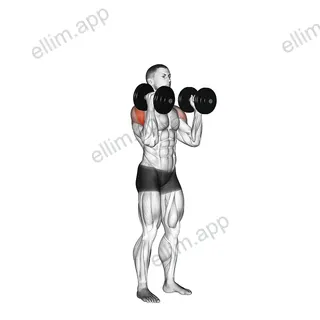 Dumbbell W press exercise targeting Shoulders