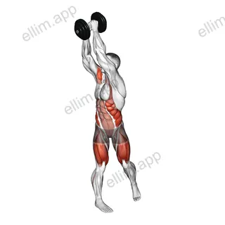 Dumbbell Wood Chop Squat exercise targeting Waist and Deltoid Anterior