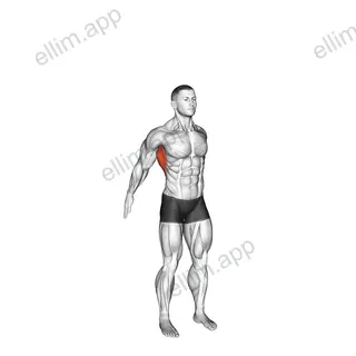 Dynamic Back Stretch exercise targeting Back and Latissimus Dorsi