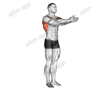 Dynamic Chest Stretch exercise targeting Chest and Pectoralis Major Clavicular Head