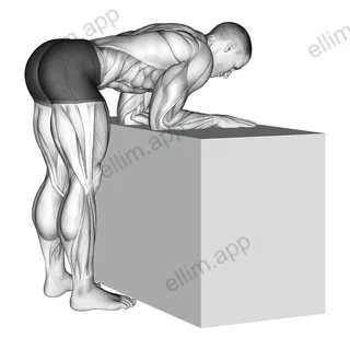 Elbow Extensor Anconeus Stretch exercise targeting Upper Arms