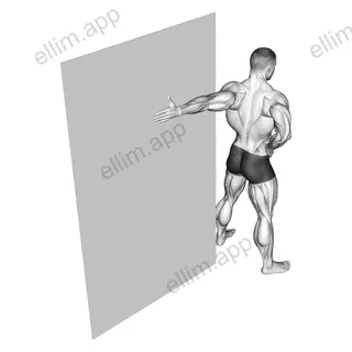 Elbow Flexor Stretch exercise targeting Upper Arms