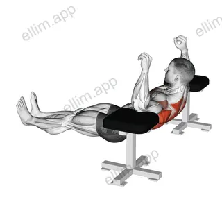 Elbow Lift - Reverse Push-Up exercise targeting Back and Infraspinatus