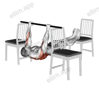 Elevanted Inverted Row between 3 Chairs exercise targeting Back and Infraspinatus