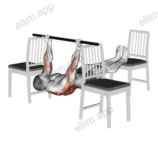 Elevanted Inverted Underhand Grip Row between 3 Chairs exercise targeting Back and Infraspinatus
