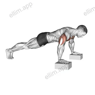 Elevanted Push-Up exercise targeting Chest and Pectoralis Major Clavicular Head