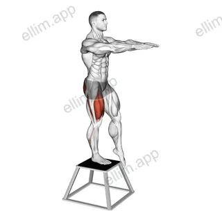 Elevated Single Leg Squat exercise targeting Thighs