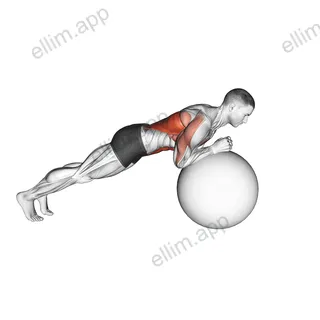 Exercise Ball Body Saw exercise targeting Waist