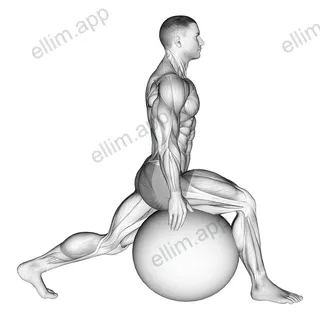 Exercise Ball Hip Flexor Stretch exercise targeting Thighs
