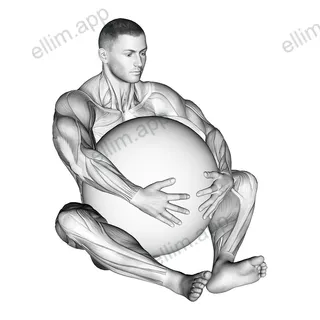 Exercise Ball Hug exercise targeting Back and Erector Spinae