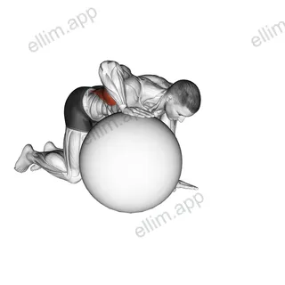 Exercise Ball Lat Stretch exercise targeting Back and Latissimus Dorsi