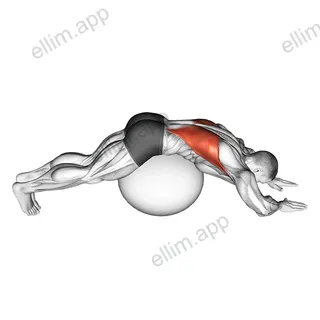 Exercise Ball Lower Back Stretch (Pyramid) exercise targeting Back and Latissimus Dorsi