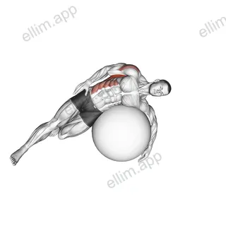 Exercise Ball Lying Side Lat Stretch exercise targeting Back and Latissimus Dorsi