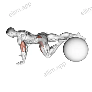 Exercise Ball One Leg Prone Lower Body Rotation exercise targeting Hips and Gluteus Medius