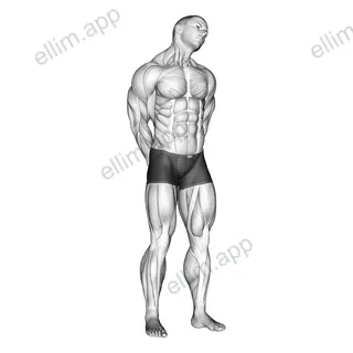 Extension And Inclination Neck Stretch exercise targeting Neck
