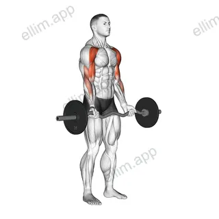 EZ-Bar Drag Bicep Curl exercise targeting Upper Arms