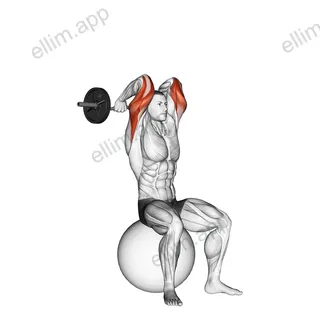 EZ Bar French Press on Exercise Ball exercise targeting Upper Arms