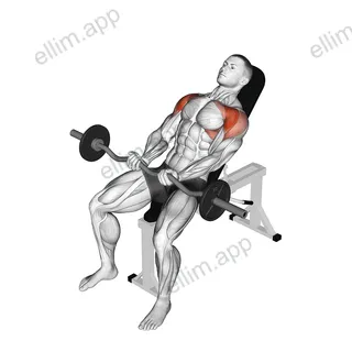 EZ bar Incline Front Raise exercise targeting Shoulders
