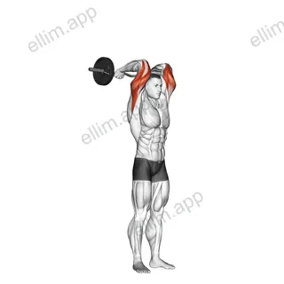 EZ Bar Standing French Press exercise targeting Upper Arms and Triceps Brachii